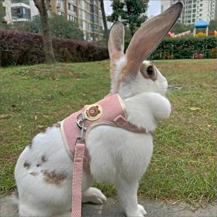 Chic Stroll - BunnyStride Leash Set - Oba Buy