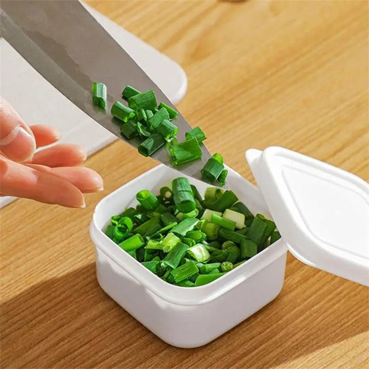 FreshMate Mini Food Storage Box - Oba Buy