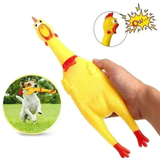 Quirky Quack Squeaky Chicken Chew Toy - Oba Buy